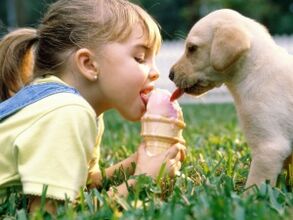 a girl eats ice cream with a dog and becomes infected with parasites